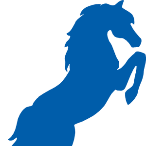 Team Page: Stuchbery